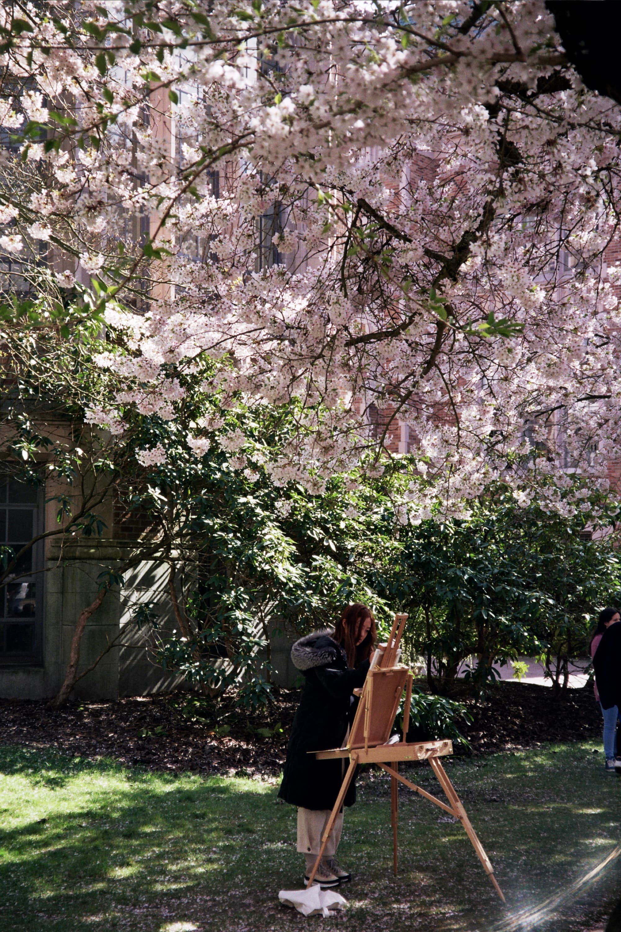 University of Washington