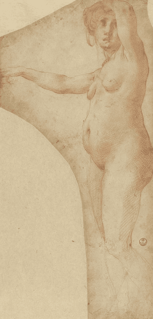 Nude Study